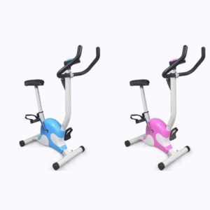 Vélo d'exercice manuel d'intérieur pour la remise en forme du corps, vélo de spinning pour l'entraînement en intérieur