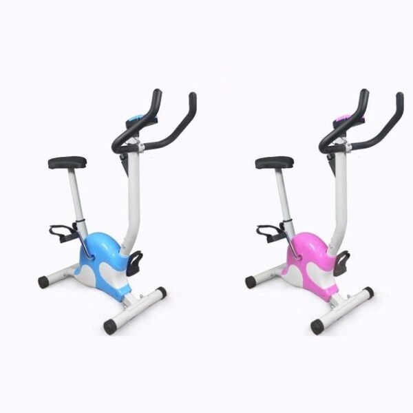 Vélo d'exercice manuel d'intérieur pour la remise en forme du corps, vélo de spinning pour l'entraînement en intérieur
