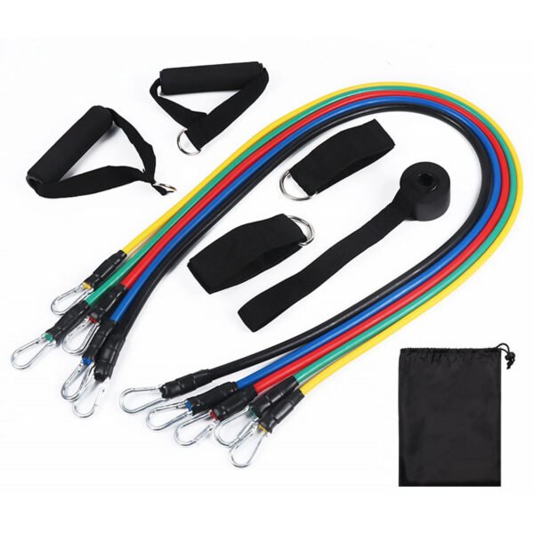 Bandes de résistance élastiques premium pour l'entraînement complet du corps, l'étirement, la rééducation et les routines de fitness