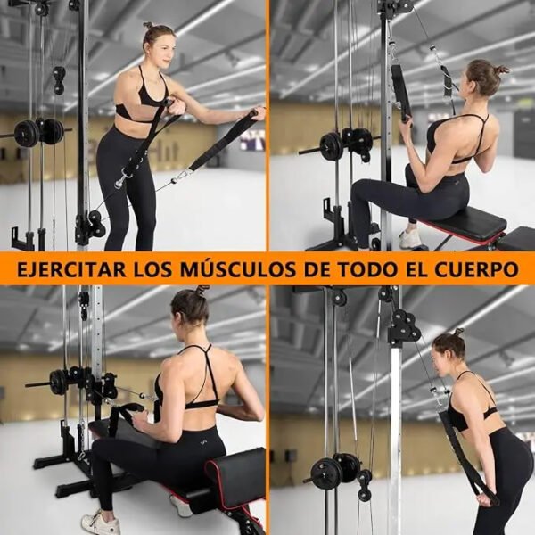 img_alibaba_1772399342_1.jpeg 2