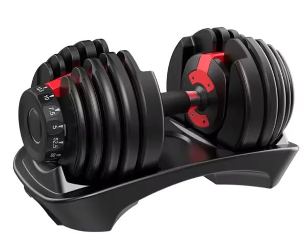 Haltère Réglable Professionnel en Tube d'Acier 2.5-24kg en Stock en Espagne pour Entraînement des Bras pour Hommes et Femmes