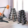 kf-S8f24c67bb143461fb1ac50f97e57ae33d Support de poids en acier inoxydable pour salle de sport à domicile, cadre A à 5 couches, noir et blanc, stockage de DumbHavana dans les maisons, les hôtels et les gymnases