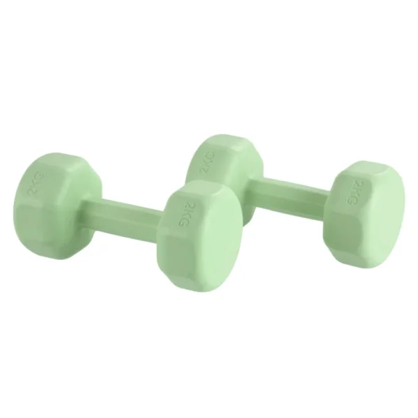 Ensemble d'haltères pour femmes, 2kg, pour entraînement aérobique, musculation, salle de sport, fitness à domicile, 1 pièce