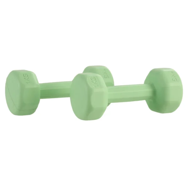Ensemble d'haltères pour femmes, 2 pièces, 1 kg, pour entraînement aérobique, musculation, salle de sport, fitness à domicile