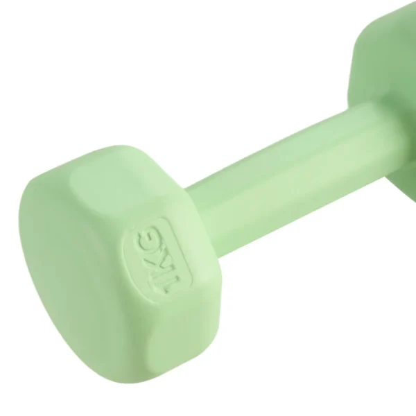 Ensemble d'haltères pour femmes, 2 pièces, 1 kg, pour entraînement aérobique, musculation, salle de sport, fitness à domicile
