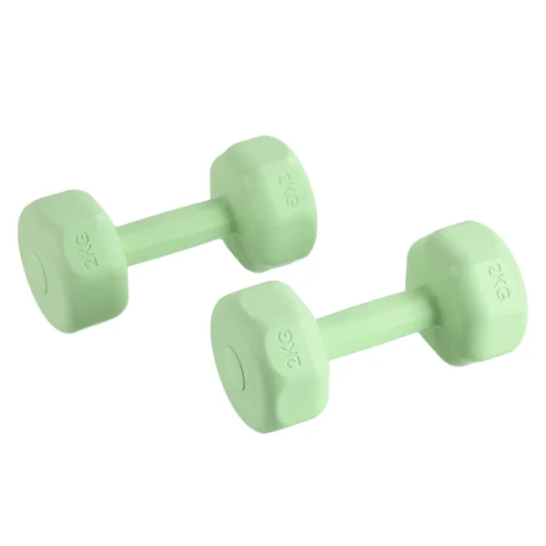 Ensemble d'haltères pour femmes, 2kg, pour entraînement aérobique, musculation, salle de sport, fitness à domicile, 1 pièce