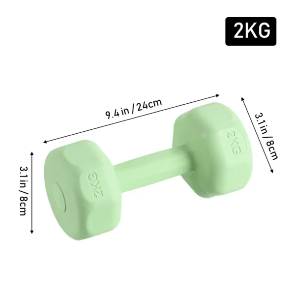 Ensemble d'haltères pour femmes, 2kg, pour entraînement aérobique, musculation, salle de sport, fitness à domicile, 1 pièce