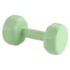 Ensemble d'haltères pour femmes, 2kg, pour entraînement aérobique, musculation, salle de sport, fitness à domicile, 1 pièce