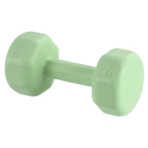 Ensemble d'haltères pour femmes, 2kg, pour entraînement aérobique, musculation, salle de sport, fitness à domicile, 1 pièce