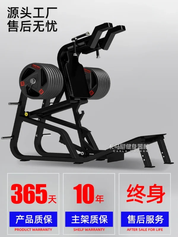 Machine à squats, équipement professionnel de musculation pour les jambes, équipement spécial pour salle de sport commerciale